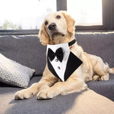 KUTKUT Formal Dog Tux Bandana | Dog Wedding Bandana, Adjustable Dog Bowtie Collar Bandana, Adjustable Neckerchief for Small Dogs & Cats.