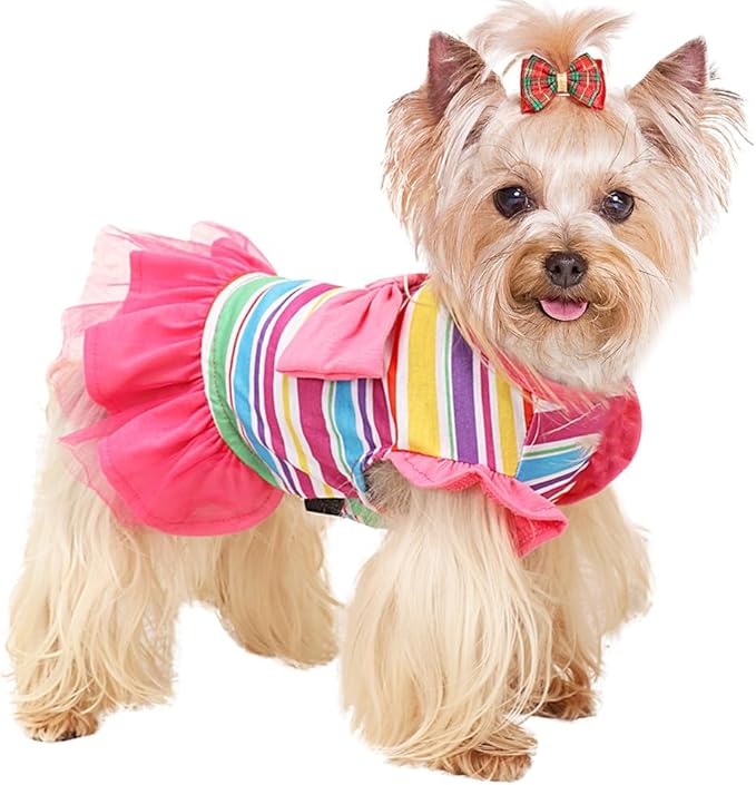 KUTKUT Dog Clothes Girl Dog Dress Puppy Dresses Pet Dress Female Cavalier King, Frenchi Cat Tulle Dress Birthday Party Lace Costume Stripes Tutu Skirt Apparel Bow Outfit (Multi)
