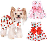 KUTKUT Combo of 2 Cute Small Pet Dress with Lovely Bow Pet Apparel Dog Clothes for Dogs and Cats | Puppy Summer Dress Birthday Pet Apparel Dress - kutkutstyle