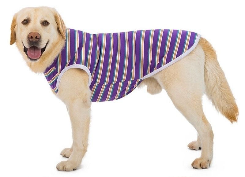 KUTKUT Cotton Striped Dog Shirts for Large Dogs | Breathable Stretchy Fashion Big Dogs Clothes for Labarador, Golden Retriver, Samoyed etc (Purple)