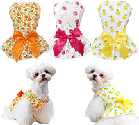KUTKUT Combo of 3 Pcs Fruit Print Soft Comfortable Cotton Dress For ShihTzu, Lhasa Apso, Bichon etc | Beautiful Cute Backnot Strap Princess Skirt For Small Dogs & Cats - kutkutstyle
