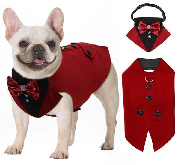 KUTKUT Dog Tuxedo, Detailed Dog Tuxedo for Small Dogs with Exquisite Stitching, Stylish Dog Wedding Bandana Set for Wedding, Festival, Birthday etc (Red)