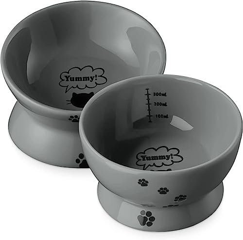 KUTKUT Set of 2 Pcs Elevated Cat and Small Dog Food and Water Bowl Set, Tilted Elevated Cat Food Bowls No Spill, Ceramic Cat Food Feeder Bowl Collection, Pet Bowl for Flat-Faced Cats and Small Dogs