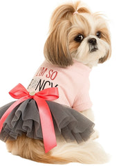 KUTKUT Fancy Tutu Small Dog Cat Girl Dress - Pink Top with I m so Fancy Print, Mesh Skirt & Red Bow, Puppy Girl Party Outfit Cat Dress, Pet Clothing for Maltese, Papillon etc