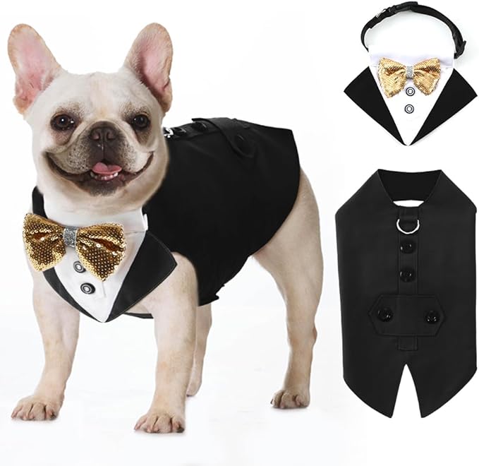 KUTKUT Dog Tuxedo, Detailed Dog Tuxedo for Small Dogs with Exquisite Stitching, Stylish Dog Wedding Bandana Set for Wedding, Festival, Birthday etc (Black)