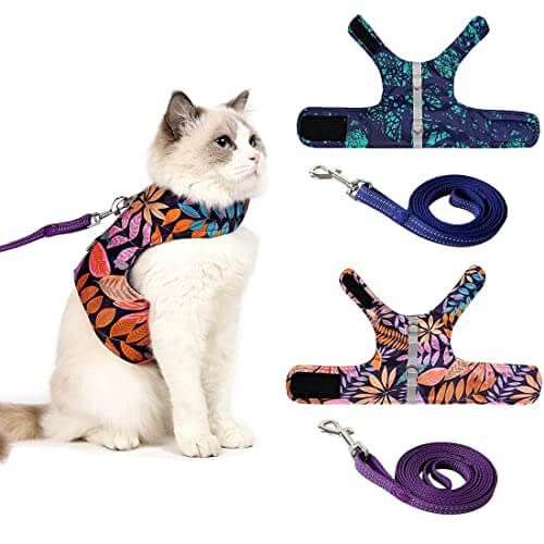 KUTKUT Cat Harness and Leash Set for Walking Harness Soft Mesh Harness 2Pcs Adjustable Cat Vest Harness with Reflective Strap Comfort Fit for Pet Kitten Puppy - kutkutstyle