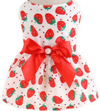 KUTKUT Small Girl Dog & Cat Dress with Lovely Silk Bow Pet Apparel | Puppy Summer Dress Birthday Pet Apparel Dress | Frock Dress for Shihtzu, Poodle etc