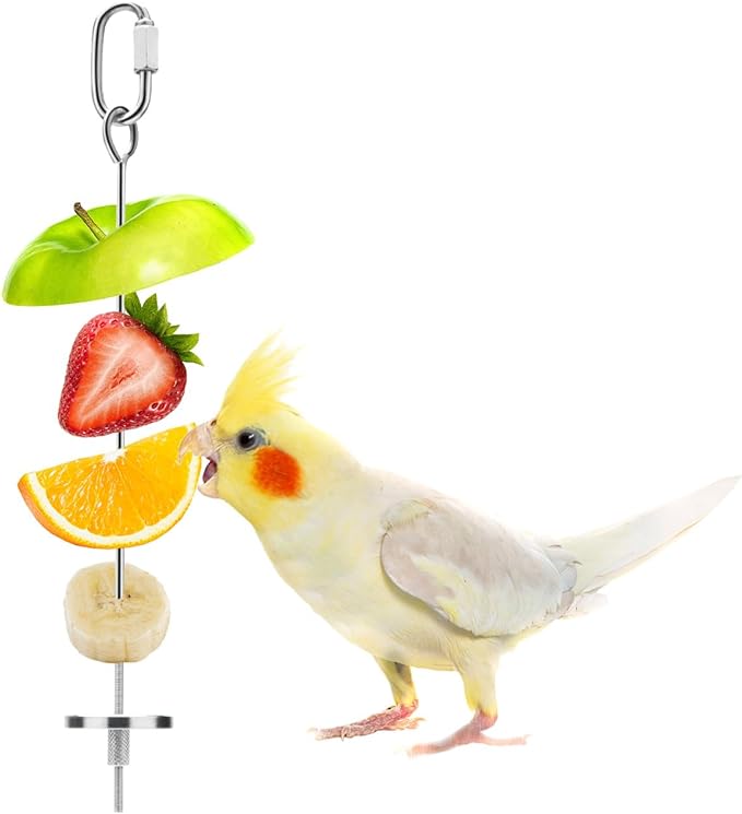 KUTKUT Bird Feeder for Cage, Bird Foraging Toy, Stainless Steel Bird Food Holder, Small Animal Fruit Vegetable Stick Skewer, Hanging Food Feeding Treating Tool for Parrots Cockatoo Cockatiel (L: 20cm)