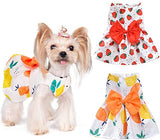 KUTKUT Set of 2 Cute Small Pet Dress with Lovely Bow Pet Apparel Dog Clothes for Dogs and Cats | Puppy Summer Dress Birthday Pet Apparel Dress