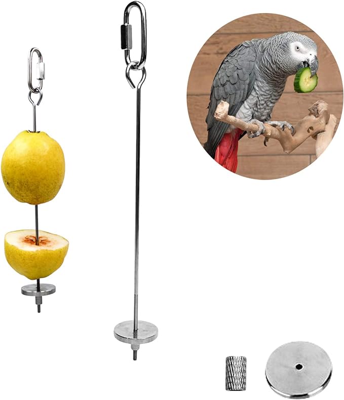 KUTKUT 2PCS Bird Skewer Bird Food Holder Bird Feeders Stainless Steel Bird Parrot Skewer Small Animal Fruit Vegetable Holder Foraging Hanging Food Feeder for Parrots Cockatoo etc (20 & 12 cm)