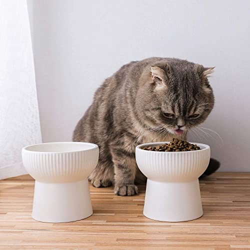 KUTKUT 2 Set Ceramic Cat Food Or Water Bowl, Elevated Cat Feeder Dishes with Stand, Raised Pet Food Bowl for Cats and Small Dogs, Stress Free Backflow Prevention & Anti Vomiting - kutkutstyle