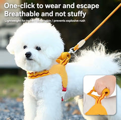 KUTKUT Pet Harness & Leash Set for Small Dogs & Cats, Adjustable Breathable Mesh Harness with Padded Control Handle, Secure Buckle & Metal D-Ring (Yellow)
