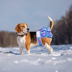 KUTKUT 2 Pcs Female Dog Adjustable Diapers Washable Reusable Super Absorbency Leak-Proof Dog Nappie Dresses for Dogs in Heat, Period or Excitable Urination, Sanitary Panties Dress - kutkutsty