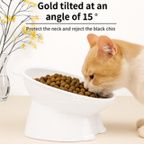 KUTKUT Slanted Cat Dog Food Bowl - Anti Vomiting Design, Whisker-Friendly Tilted Angle, Non-Slip Eco-Friendly Pet Dish, Plastic Elevated Cat Bowls Dishes, 15 Degrees Tilted Cat Food Bowl