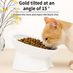 KUTKUT Slanted Cat Dog Food Bowl - Anti Vomiting Design, Whisker-Friendly Tilted Angle, Non-Slip Eco-Friendly Pet Dish, Plastic Elevated Cat Bowls Dishes, 15 Degrees Tilted Cat Food Bowl