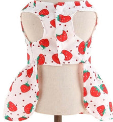 KUTKUT Small Girl Dog & Cat Dress with Lovely Silk Bow Pet Apparel | Puppy Summer Dress Birthday Pet Apparel Dress | Frock Dress for Shihtzu, Poodle etc
