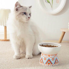 KUTKUT 2 Set Ceramic Small Dogs Food Or Water Bowl, Raised Cat Feeder Dishes with Stand, Elevated Pet Food Bowl for Cats and Small Dogs, Stress Free Backflow Prevention & Anti Vomiting - kutk