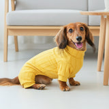 PAWCHIE Dog Jumpsuit for Small Dogs Cats, Soft Ribbed Four Leg Payjamas, Warm Stretch Pet Romper with High Neck, Cozy Indoor & Winter Wear (Yellow)