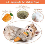 KUTKUT 5Pcs Bite Resistant Catnip Toys, Farm Theme Catnip Toys Filled Cat Teething Chew Toy, Interactive Kitten Exercise Kicker Toys for Indoor Cats, Cat Pillow Toys