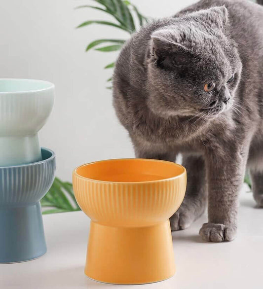 KUTKUT Ceramic Cat Food Or Water Bowl, 2 Pcs Raised Cat Feeder Dish with Stand, Elevated Pet Food Bowl for Cats and Small Dogs, Stress Free Backflow Prevention, Anti Vomiting Reduce Neck Burd