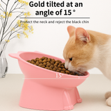 KUTKUT Dog Cat Food Bowl, Anti Vomiting Tilted Raised 15 Degrees Elevated Pet Bowls Raised Whisker Friendly Cat Dish Plastic Slanted Stand for Indoor Pet Food Water Feeder