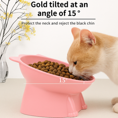 KUTKUT Dog Cat Food Bowl, Anti Vomiting Tilted Raised 15 Degrees Elevated Pet Bowls Raised Whisker Friendly Cat Dish Plastic Slanted Stand for Indoor Pet Food Water Feeder