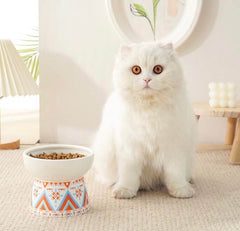 KUTKUT Set of 2Pcs Ceramic Cat Food Or Water Bowl, Raised Cat Feeder Dishes with Stand, Elevated Pet Food Bowl for Cats and Small Dogs, Stress Free Backflow Prevention & Reduce Neck Burden - 