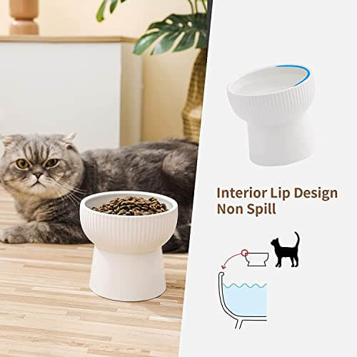 KUTKUT 2 Set Ceramic Small Dogs Food Or Water Bowl, Raised Cat Feeder Dishes with Stand, Elevated Pet Food Bowl for Cats and Small Dogs, Stress Free Backflow Prevention & Anti Vomiting - kutk
