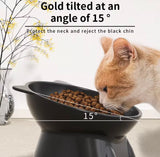 KUTKUT Elevated Pet Bowl for Dogs and Cats, Tilted Food and Water Dish, Anti-Spill Design