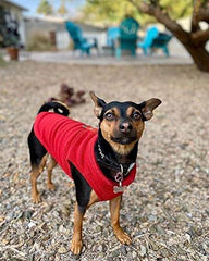 KUTKUT 2Pcs Dog Fleece Vest Sweater Winter Jacket for Small Dogs Cats with D-Ring Leash Cold Weather Coat Hoodie for Shihtzu, Maltese, LhasaApso etc - kutkutstyle