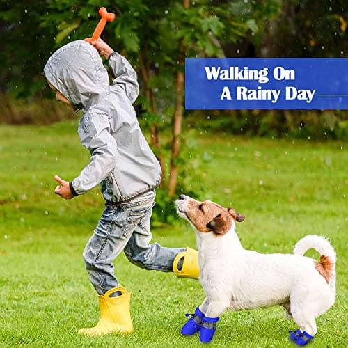 KUTKUT 8Pcs (2Sets) Washable Small Dog Shoes | Rain &Snow Dog Booties | Breathable Paw Protector, Upgraded Anti-Slip Soft Soled Dog & Cat Boots for Shihtzu, Poodle, Bichon etc - kutkutstyle