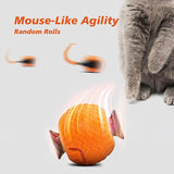 KUTKUT Interactive Cat Toy for Indoor Cats, Speedy Ball with Tail, Automatic Moving Cat Balls for Bored Indoor Adult Cats, 360°Automatic Rolling Ball Toy, Two Speed Adjustment (Orange)