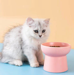 KUTKUT 2 Pcs Ceramic Cat Food Or Water Bowl, Raised Dog Feeder Dishes with Stand, Elevated Pet Food Bowl for Cats and Small Dogs, Stress Free Backflow Prevention, Anti Vomiting - kutkutstyle