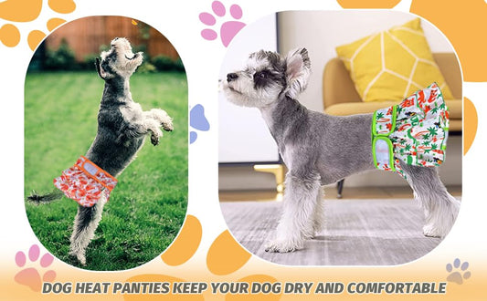 KUTKUT 2 Pcs Female Dog Adjustable Diapers Reusable Leak Proof Washable Super Absorbency Dog Nappie Dresses for Dogs in Heat, Period or Excitable Urination, Sanitary Panties - kutkutstyle