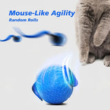 KUTKUT Interactive Cat Toy for Indoor Cats, Speedy Ball with Tail, Automatic Moving Cat Balls for Bored Indoor Adult Cats, 360°Automatic Rolling Ball Toy, Two Speed Adjustment (Blue)