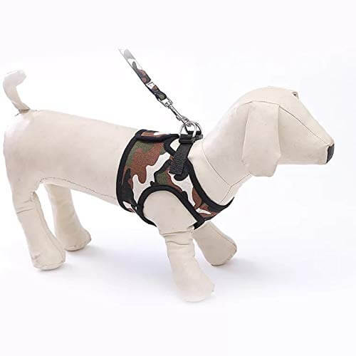 KUTKUT Adjustable No-Pull & No-Choke Harness | Breathable, Comfortable Dog Harness and Leash Set for Small - Medium Dogs - kutkutstyle
