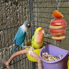 KUTKUT Bird Food Holder Stainless Steel Fruit Vegetable Stick Skewer for Parrots Cockatoo Cockatiel Cage Treating Tool (S:12cm)