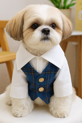 KUTKUT Small Dog Plaid Shirt Vest - Classic Blue Checkered Pet Outfit With Buttons & White Collar, Stylish Puppy & Kitten Clothing For Special Occassions
