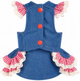 KUTKUT Small Dog Cat Denim Dress with Cherry Embroidery, Red Gingham Ruffles & Lace Trim- Cute Princess Party Dress for Maltese, Pomeranian, Shihtzu, Kittens