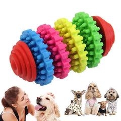 KUTKUT Set of 2 Durable Health Gear Gums Teething Chew Toy and Funny Plush Strawberry Design Squeak Sound Stuffed Chew Toy for Dogs and Cats
