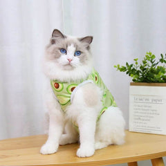 KUTKUT 2 Set Cat & Dog Sterlization Suit, Cat Surgery Recovery Suit, Physiological Poly Cotton Breathable Clothes for Abdominal Wounds or Skin Diseases Hook & Loop Closure Costume for Cats - 