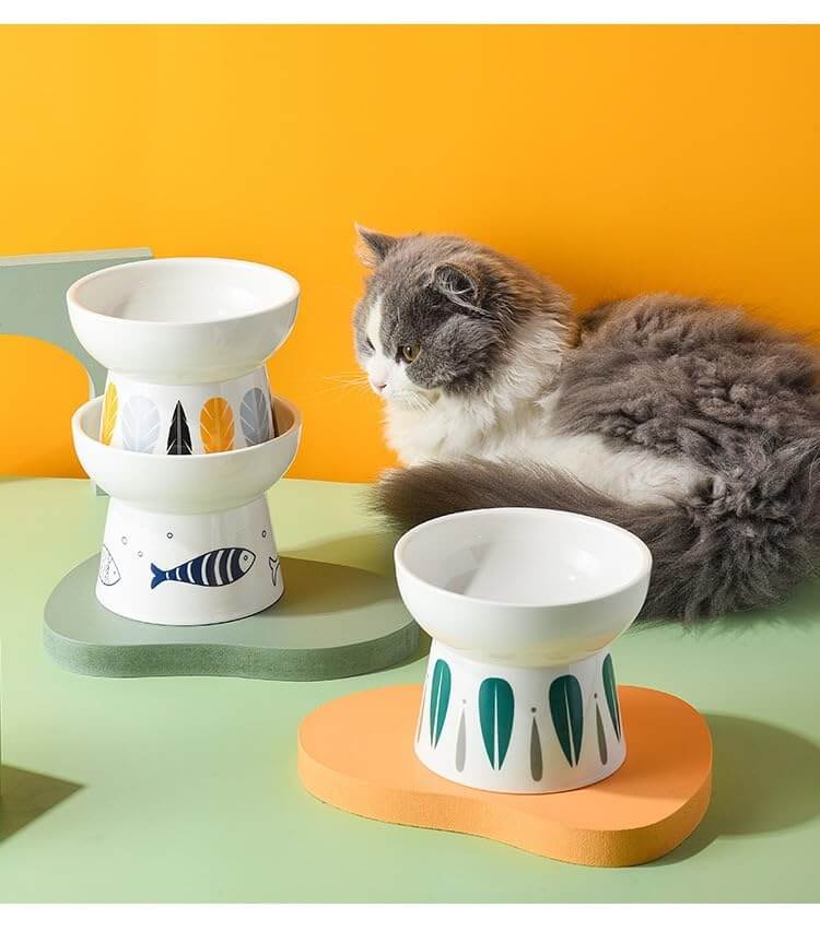 KUTKUT Combo of 2Pcs Ceramic Cat Food Or Water Bowl, Raised Cat Feeder Dishes with Stand, Elevated Pet Food Bowl for Cats and Small Dogs, Stress Free Backflow Prevention & Reduce Neck Burden 