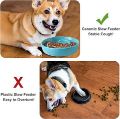 KUTKUT Slow Feeder Dog Bowl, Ceramic Puppy Slow Feeding Dish with Anti-Slip Base, Cat Slow Feeder Puzzle Eating Bowl  Food Dish for Fast Eaters Medium Pets (Capacity 350gm, Light Blue Rose)
