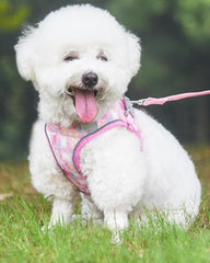 KUTKUT Small Dogs and Cat Harness and Leash Set, Soft and Breathable Vest with Reflective Strip, Escape Proof Kitten Harness, Easy to Wear for Cats Walking and Traveling ( Pink)