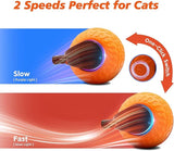 KUTKUT Interactive Cat Toy for Indoor Cats, Speedy Ball with Tail, Automatic Moving Cat Balls for Bored Indoor Adult Cats, 360°Automatic Rolling Ball Toy, Two Speed Adjustment (Orange)