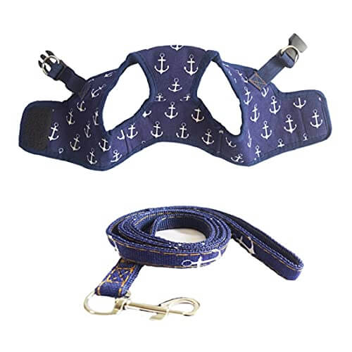 KUTKUT Adjustable No-Pull & No-Choke Harness | Breathable, Comfortable Dog Harness and Leash Set for Small Dogs - kutkutstyle