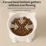 KUTKUT Slanted Cat Dog Food Bowl - Anti Vomiting Design, Whisker-Friendly Tilted Angle, Non-Slip Eco-Friendly Pet Dish, Plastic Elevated Cat Bowls Dishes, 15 Degrees Tilted Cat Food Bowl