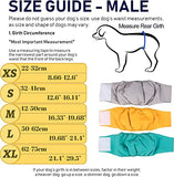 KUTKUT 2 Pcs Male Dog Diapers, Reusable Belly Bands for Small Male Dogs Wraps Highly Absorbent Diapers for Dog, Waterproof Super Absorbent Puppy Wraps Cover Sanitary Nappies Pants - kutkutsty