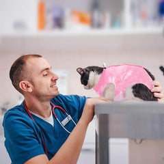 KUTKUT Cat Recovery Suit for Spay Onesize for After Surgery, Breathable Surgery Recovery Suit Female Surgical Spay Suit, Kitten Suit E Collar Alternative Anti Licking Wounds (PINK)