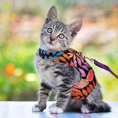 KUTKUT 2Set Cat Harness and Leash for Walking Escape Proof Air Mesh Fabric Outdoor Walking Vest with Reflective Strips for Cute Kittens and Small Puppies - kutkutstyle
